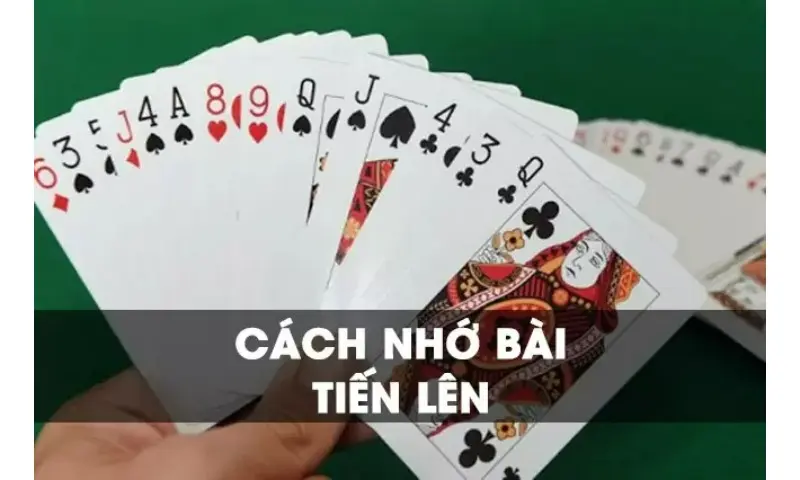 rikvip